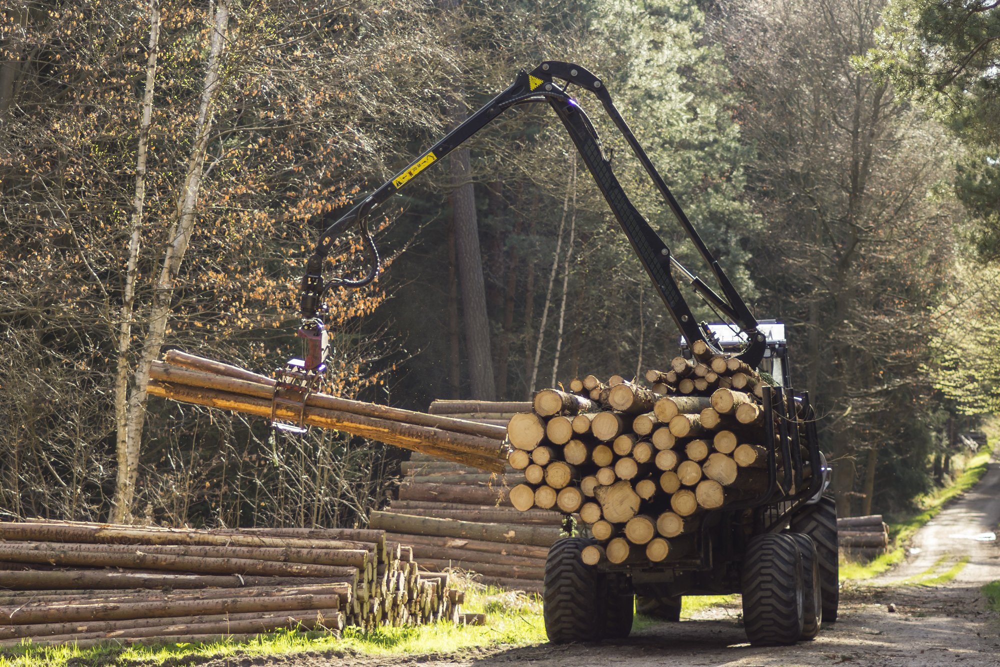 Forestry machine with radio remote control